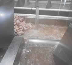 Producción de Pollo para el Consumo Humano en Colombia