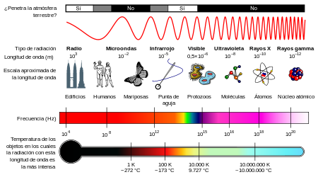 Transferencia de datos