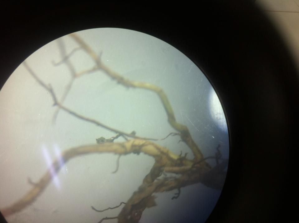 INFORME DE LABORATORIO