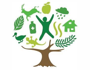 Divisiones de la ecología