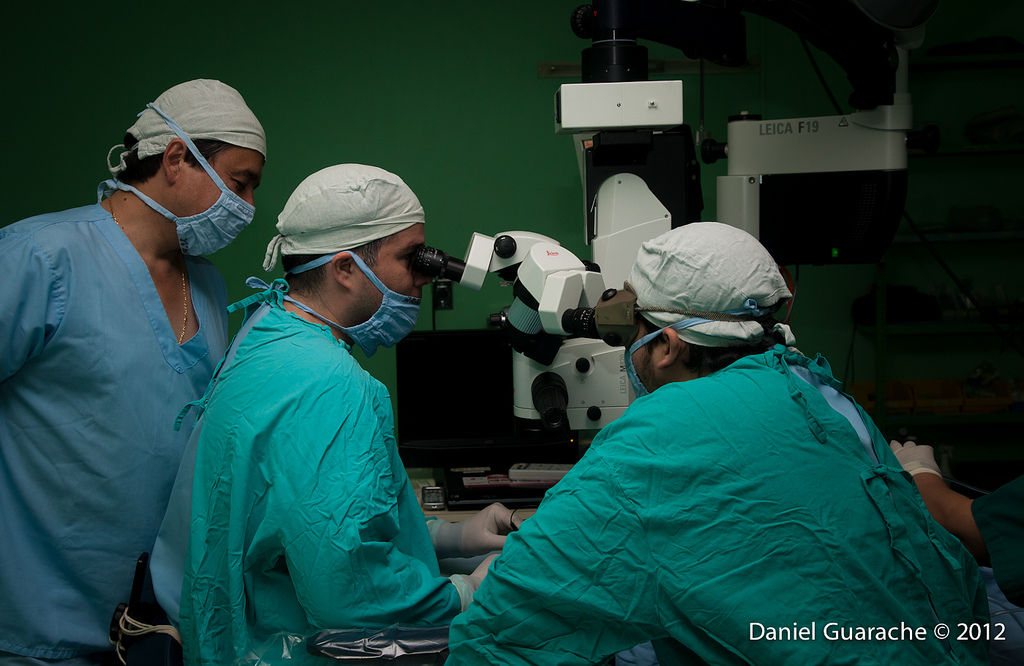 ¿Cuáles son las actividades de un médico?