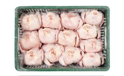 Proceso de Producción del pollo para el consumo humano en Colombia