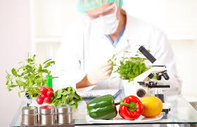 Ciencias de la tierra