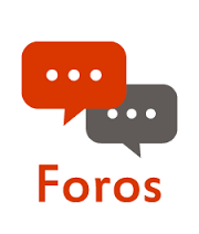 DIFERENCIA ENTRE BLOG FORO T SITIO WEB