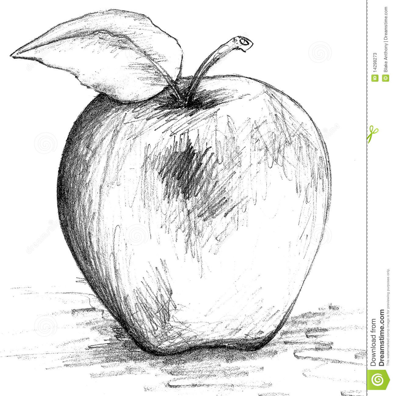 DIBUJO NORMATIZADO