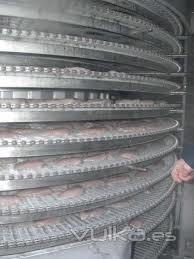 Procesos de Producción del Pollo para el consumo humano en Colombia