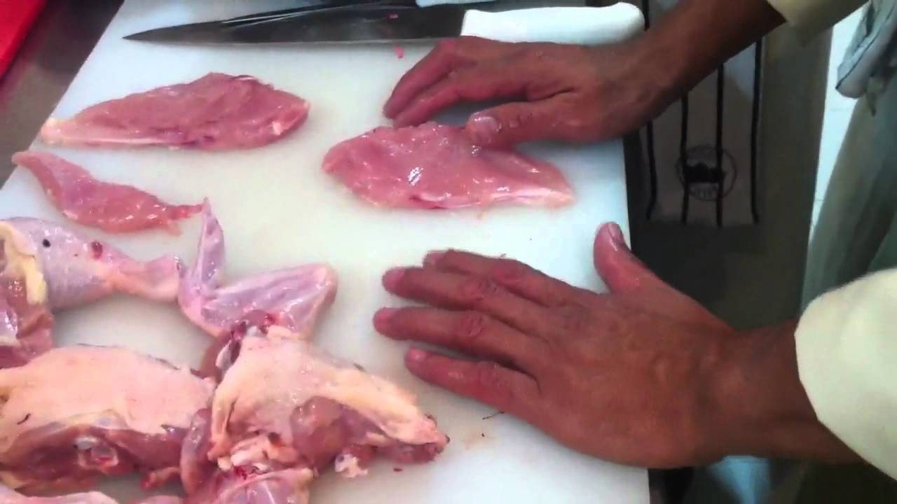Procesos de Producción del Pollo para el consumo humano en Colombia