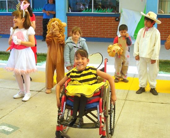Funcionamiento de los servicios de educación especial