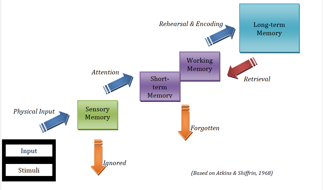 Theories and Research of Second Language Acquisition