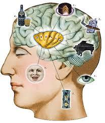 CIENCIA