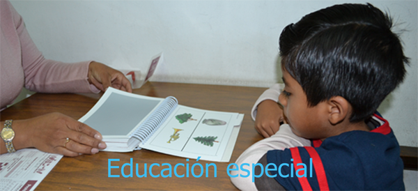 Funcionamiento de los servicios de educación especial