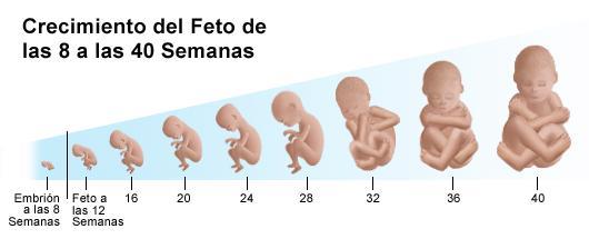 Evaluación materna y cuidados intensivos