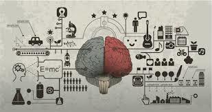 Toma de decisiones, aprendizaje, creatividad y espíritu emprendedor