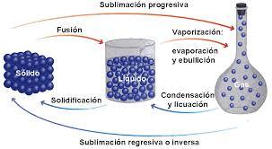 composicion de la materia ¿De que estamos hechos?