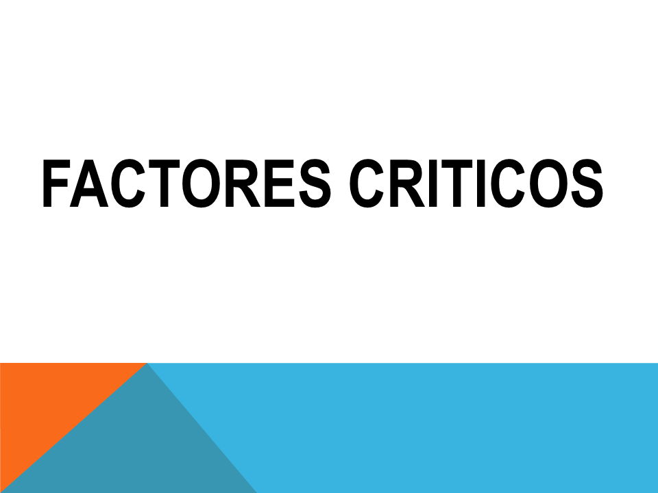 DEFINICIÓN DE PROYECTO INFORMÁTICO Y FACTORES CRÍTICOS PARA EL ÉXITO DE ESTOS