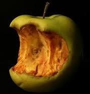 composicion de la materia ¿De que estamos hechos?