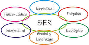 Desarrollo y tutoreo