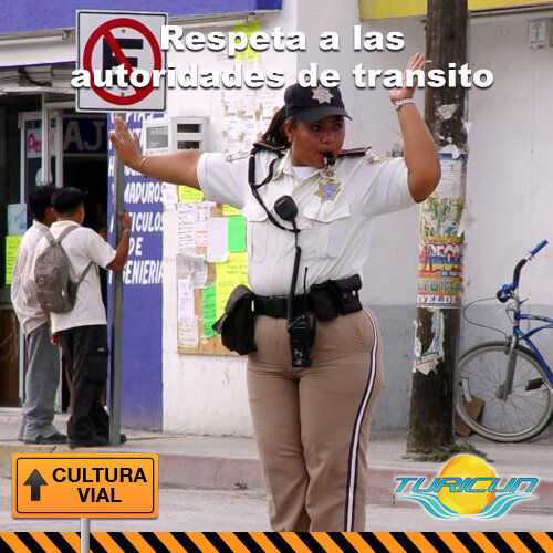 ENTIDADES ENCARGADAS DE CONTROLAR Y CORDIAR EL TRANSPORTE AUTOMOTOR POR CARRETERA