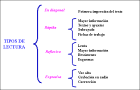Mapas mentales, conceptuales y cuadros Sinpticos