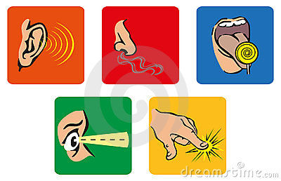 Conocimiento sensorial