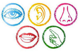 Conocimiento sensorial