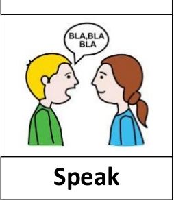 COUNCILS TO MAKE SPEECH