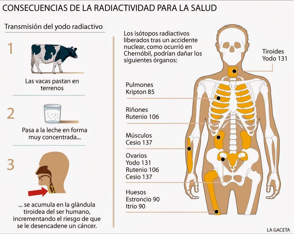PELIGROS DE LA RADIACIÓN (PARTE 1)