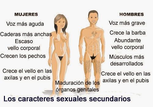 MODELO DE IDENTIDAD EN LA MADUREZ - Susan Krauss Whitbourne