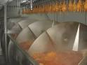 PROCESO DE PRODUCCION DEL POLLO PARA EL CONSUMO HUMANO EN COLOMBIA