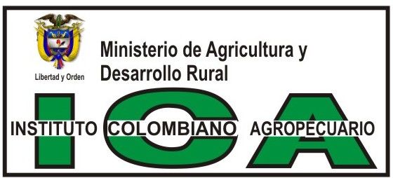 El proceso de producción de pollo para el consumo humano en Colombia