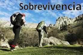 La mente consciente humana: Selección, recepción y creación