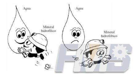 AGUA Y PUENTES DE HIDROGENO