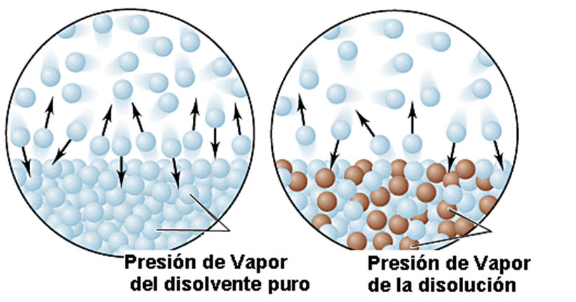 AGUA Y PUENTES DE HIDROGENO