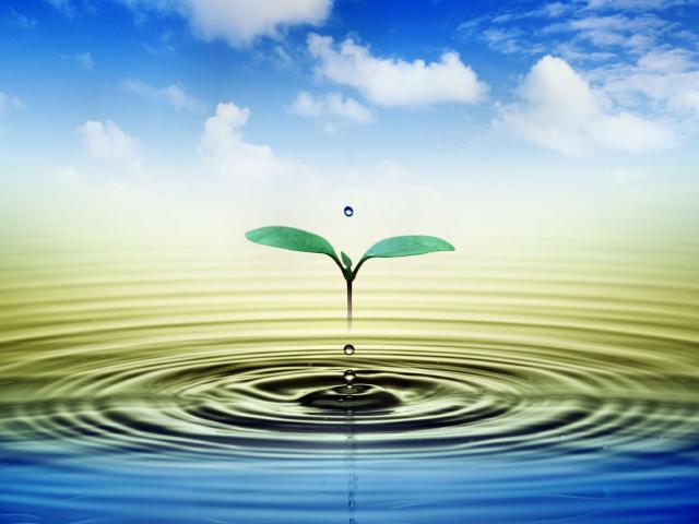 Agua en los alimentos