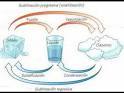 Agua en los alimentos