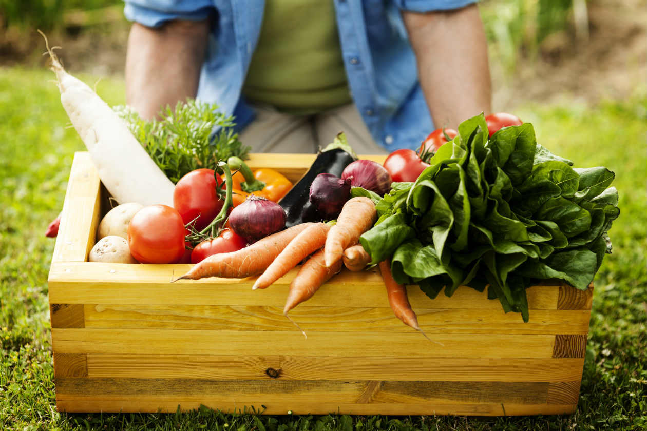 Clasificación de los productos agropecuarios