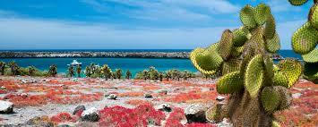 Las islas Galápagos y su origen volcánico
