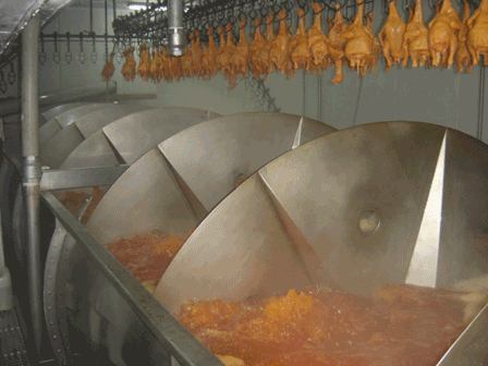 PROCESO DE PRODUCCION DEL POLLO PARA EL CONSUMO HUMANO EN COLOMBIA.