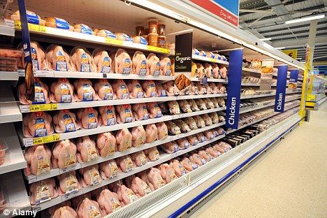 El proceso de producción de pollo para el consumo humano en Colombia