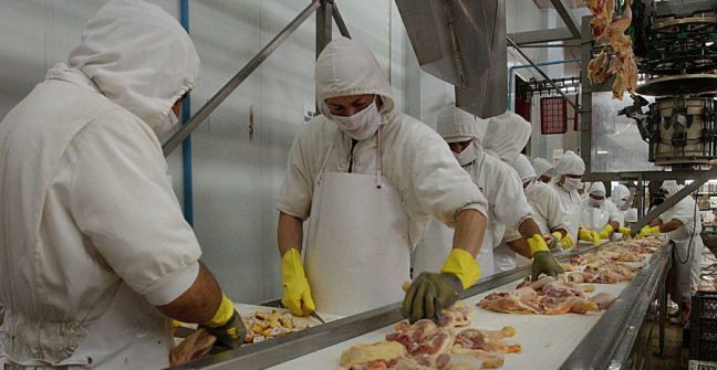 PROCESO DE PRODUCCION DEL POLLO PARA EL CONSUMO HUMANO EN COLOMBIA