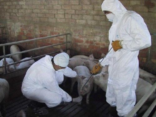 Hechos en un análisis de riesgos en la planificación para emergencias zoosanitarias