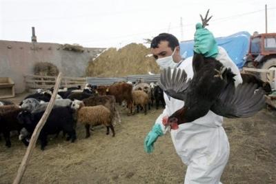Hechos en un análisis de riesgos en la planificación para emergencias zoosanitarias