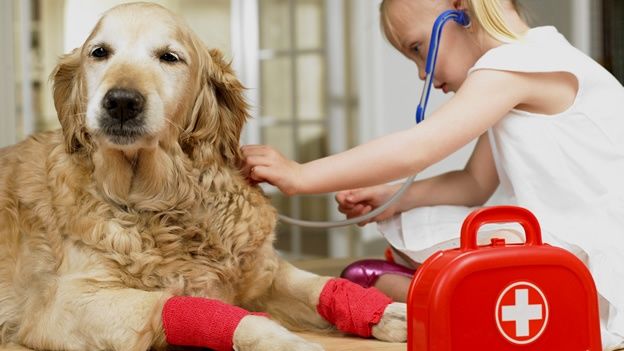 Hechos en un análisis de riesgos en la planificación para emergencias zoosanitarias