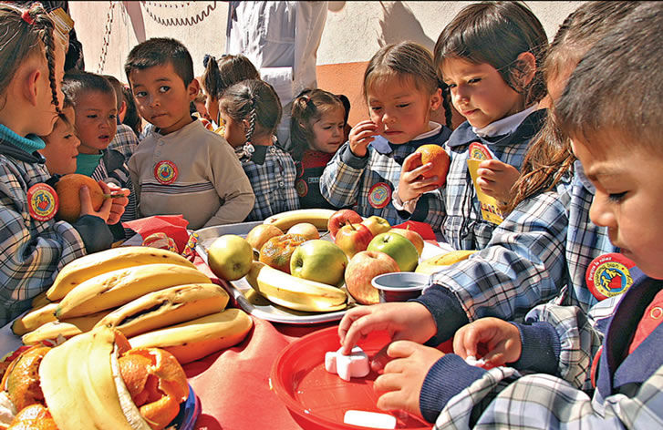 Seguridad Alimentaria Nutricional