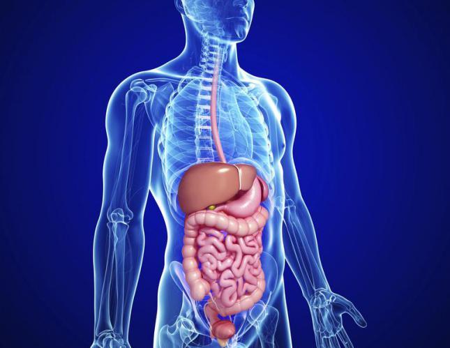 Seguridad Alimentaria Nutricional