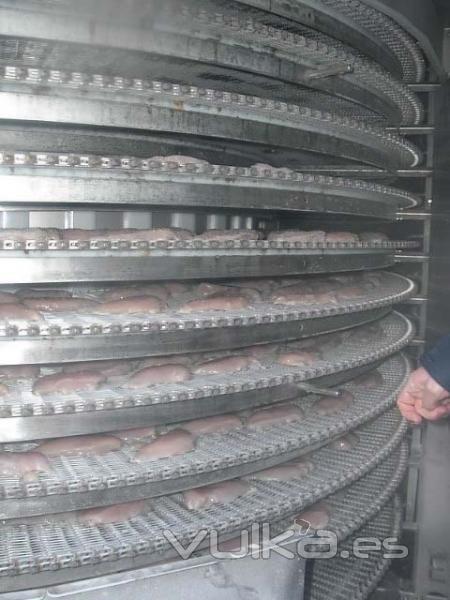 El proceso de producción de pollo para el consumo humano en Colombia.