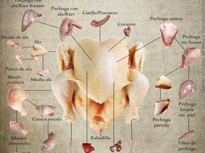 El proceso de producción de pollo para el consumo humano en Colombia.