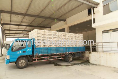 Proceso de producción de Pollo para el consumo humano en Colombia