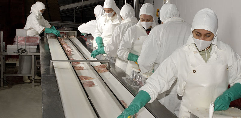 Proceso de producción de Pollo para el consumo humano en Colombia
