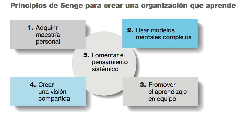 Toma de decisiones, aprendizaje, creatividad y espíritu emprendedor
